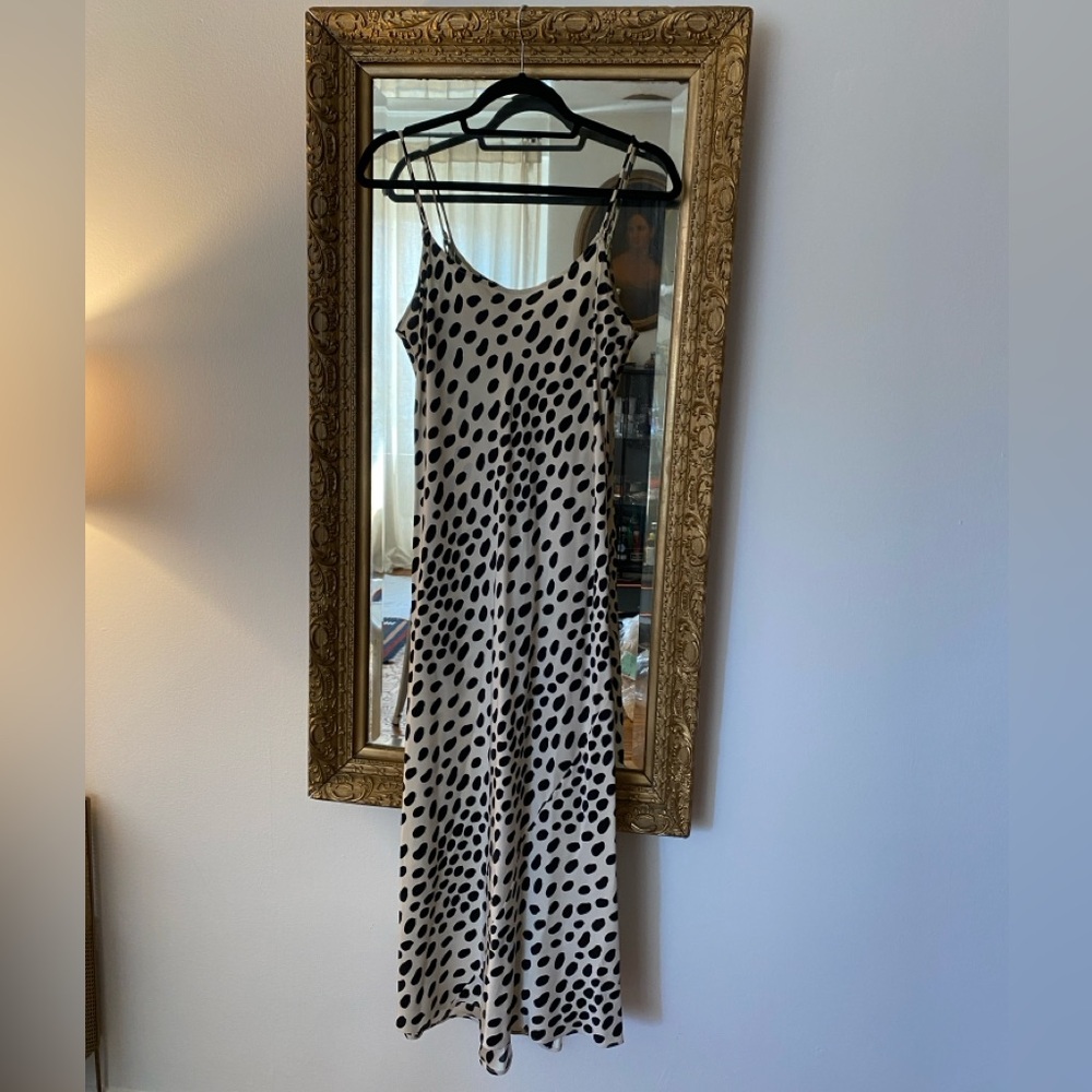 AYR 10 Outta 10 Silk Dress in Polka Dot